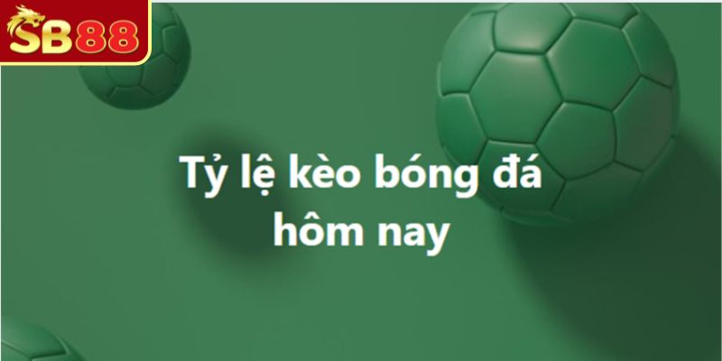 Nghiên cứu tỷ lệ kèo SB88 bóng đá hôm nay